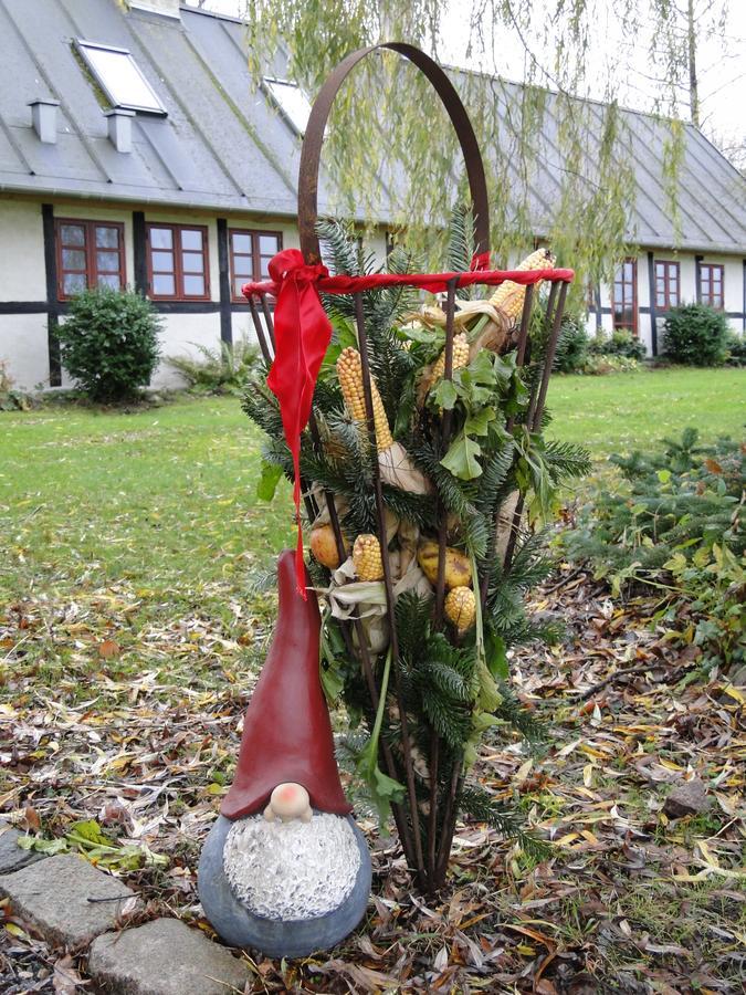 Dyssegaard B&B Skallerup Kültér fotó