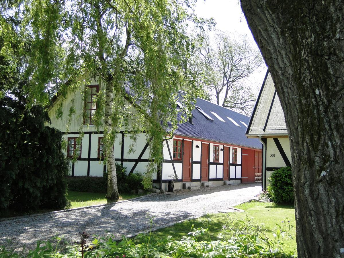 Dyssegaard B&B Skallerup Kültér fotó