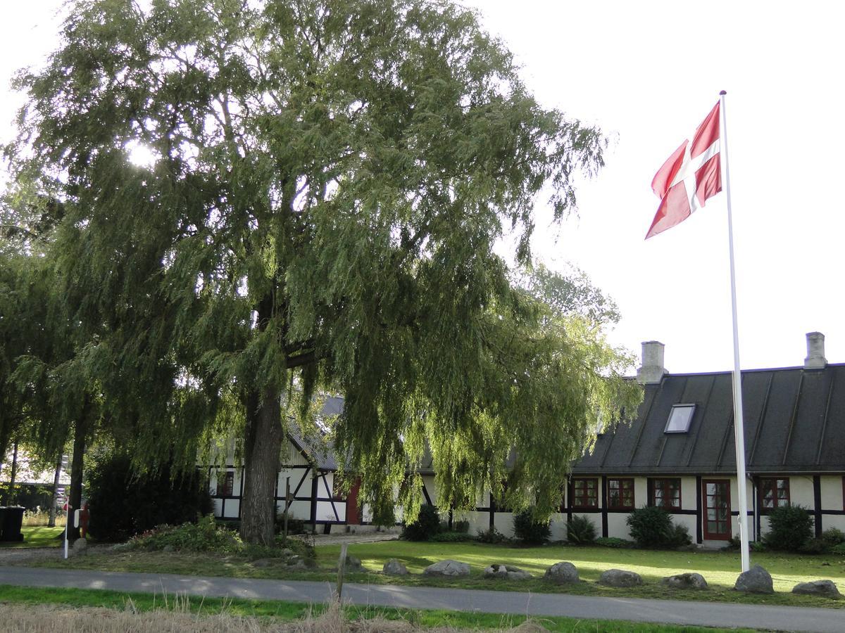 Dyssegaard B&B Skallerup Kültér fotó